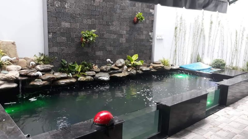 Hồ cá koi giếng trời trong nhà