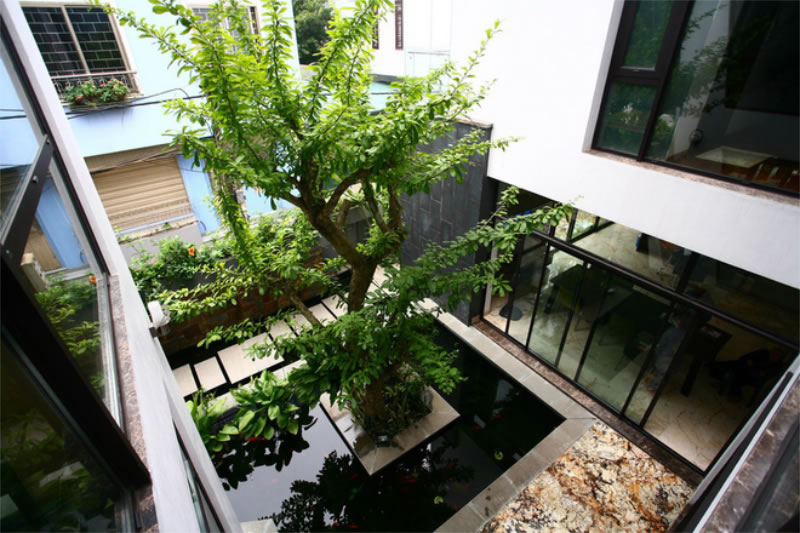Hồ cá koi giếng trời trong nhà