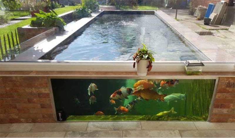 Thi công hồ cá koi bằng kính nổi đẹp