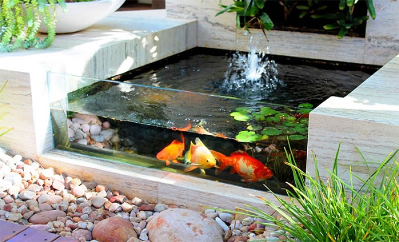 Thi công hồ cá koi bằng kính nổi đẹp