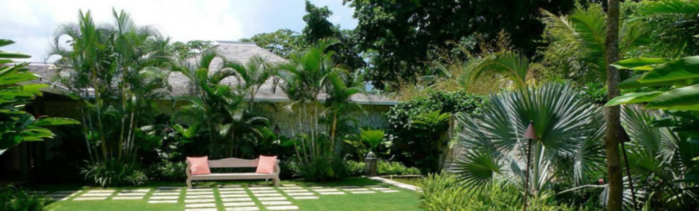 Thi công Tiểu cảnh tại Vinh Nghệ An
