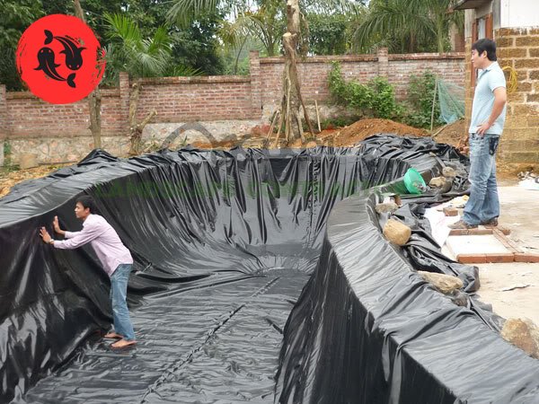 Cách sử dụng bạt lót Hồ cá Koi thông thường