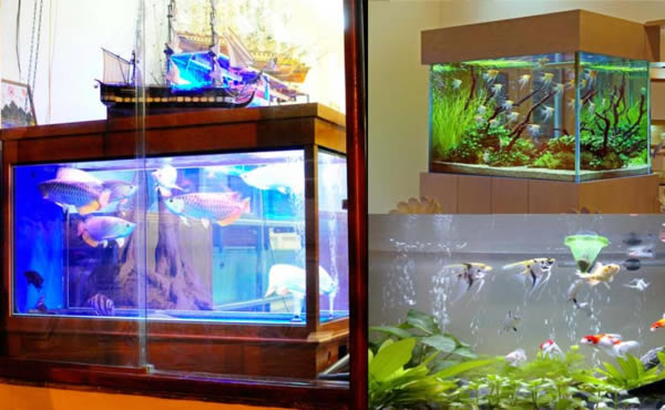 Bán bể cá tại Vinh Nghệ An