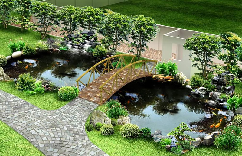 Báo giá thi công hồ cá Koi tại TP Vinh Nghệ An