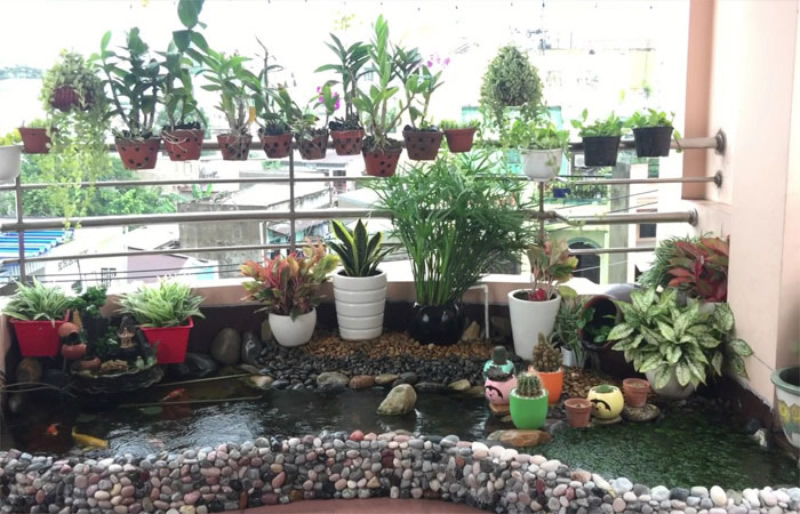 Thiết kế thi công Hồ cá koi sân thượng