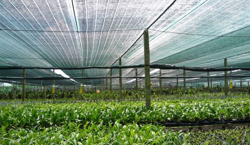 Lưới che nắng dệt kim chống mưa nắng nóng
